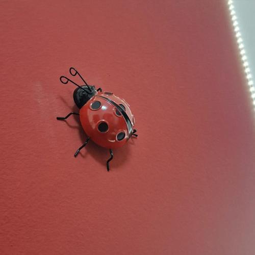 a ladybug sitting on top of a red surface at Casa Fortunata con parcheggio in Livorno