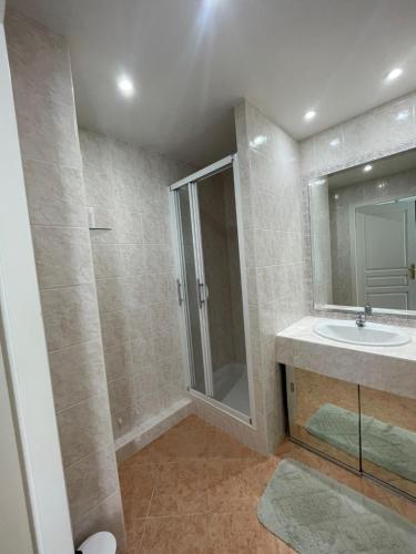 une salle de bain avec une douche, un lavabo et un miroir dans l'établissement Deux pièces climatisé plage à pied et garage, à Antibes
