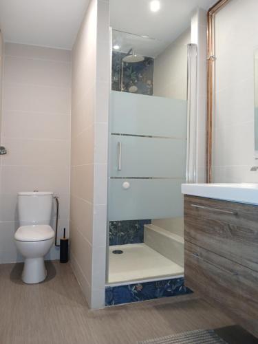a bathroom with a toilet and a shower and a sink at Appartement Golf Confort 83 m2 in Miribel
