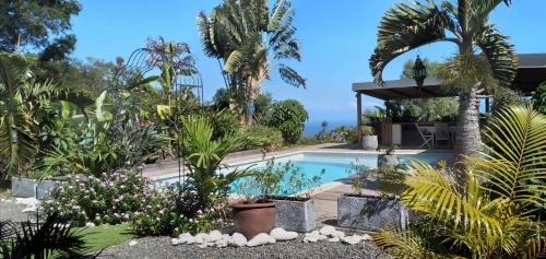 a swimming pool in a garden with plants at Villa Baies Roses in Saint-Leu
