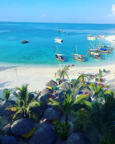 a beach with palm trees and boats in the water at SunSeaBar Beach Resort in Kendwa