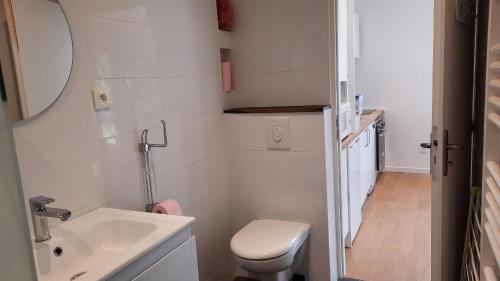 a small bathroom with a toilet and a sink at Chambre d'hote Frettecuisse in Frettecuisse