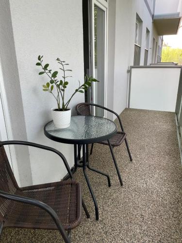 a table and chairs with a potted plant on a balcony at SPA Apartment Moser in Karlovy Vary