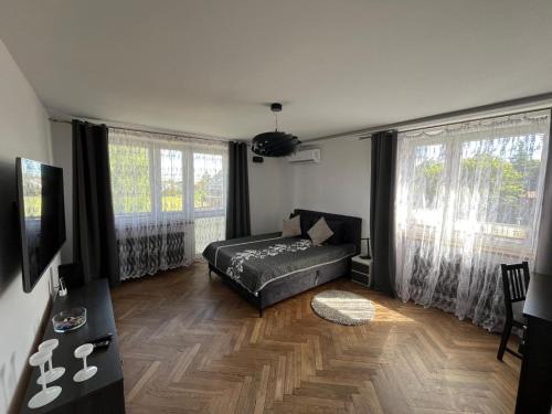 a living room with a couch and two windows at Apartament Night Premium Krakow in Krakow