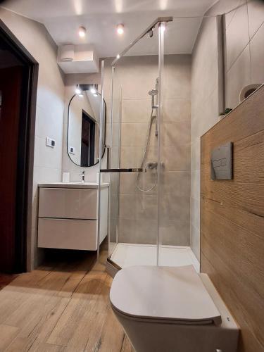 a bathroom with a shower with a toilet and a sink at Liść Klonu in Polańczyk