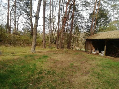 a cabin in a field with trees and grass at Przystań u Zosi in Drawsko