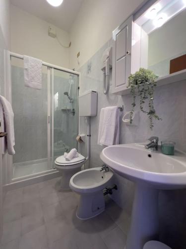 a bathroom with a sink and a toilet and a shower at Hotel Benacus Torri del Benaco in Torri del Benaco