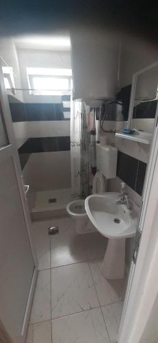Apartman Car في Prijepolje: حمام مع حوض ومرحاض