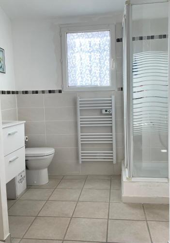une salle de bain avec douche et toilettes et une fenêtre dans l'établissement Maisonnette au calme, à Montauroux