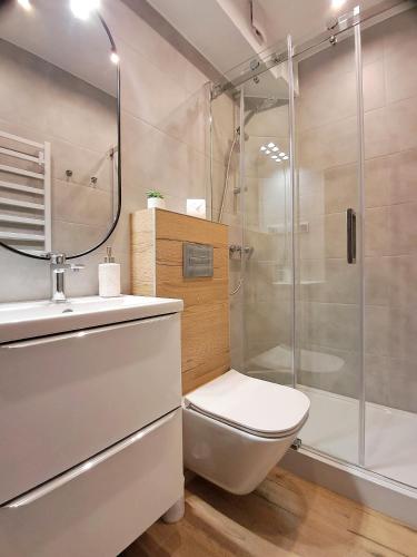a bathroom with a toilet and a shower at Liść Klonu in Polańczyk