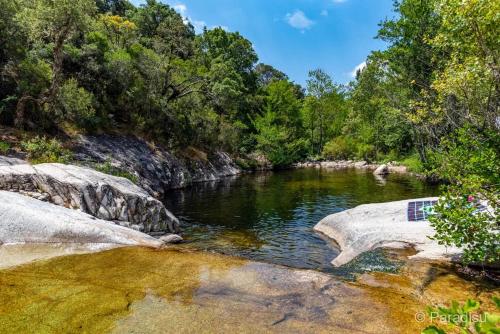 un río con rocas en el agua y árboles en Villa corse en Sartène