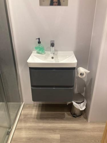 a bathroom with a sink and a toilet at Eco-friendly Cabins Cabin 1 in Norton Disney