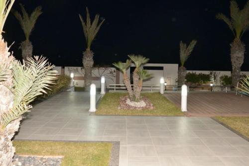 a courtyard with palm trees at night with lights at Gorgeous Villa in Salakta Mahdia in Salakta