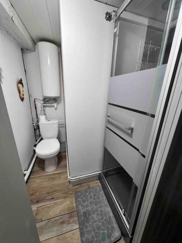 une petite salle de bain avec toilettes et douche dans l'établissement La tour de l Horloge, appt typique à 500m du château, à Chinon