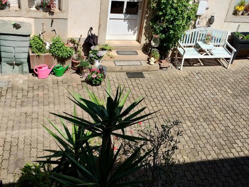 Galeriebild der Unterkunft Apartment Weinhof Pfeffer in Klingenmünster