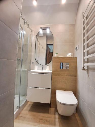 a bathroom with a toilet and a sink and a mirror at Liść Klonu in Polańczyk