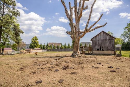a tree in a field next to a barn at Hobbit House, one-of-a-kind home in Bel Air