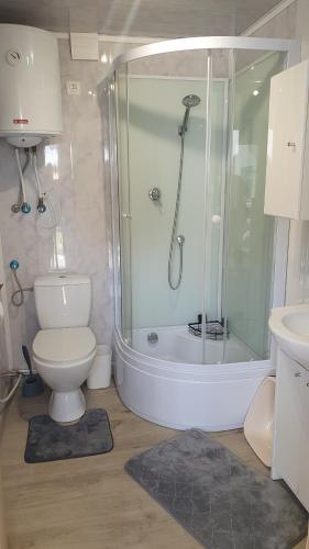 a bathroom with a shower and a toilet and a sink at Domki Eridan nad morzem in Wisełka