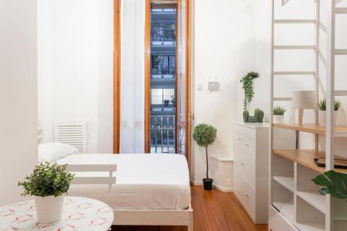 New! Lovely & Friendly in Milan Center B