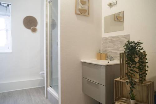 une salle de bain blanche avec un lavabo et une douche dans l'établissement Aman Insolite Jacuzzi Parking Free Centre à 5min, à Mulhouse