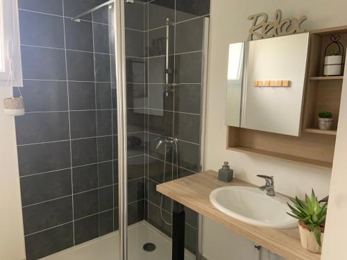 une salle de bain avec douche et lavabo dans l'établissement Maison proche mer, à Moëlan-sur-Mer