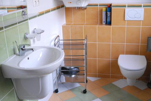 a bathroom with a sink and a toilet at Apartment Maat in Donovaly