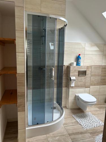 a bathroom with a shower and a toilet at Dom wypoczynkowy z widokiem na LUBAŃ in Ochotnica Dolna