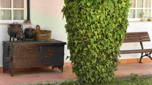 Κήπος έξω από το Quinta da Fata