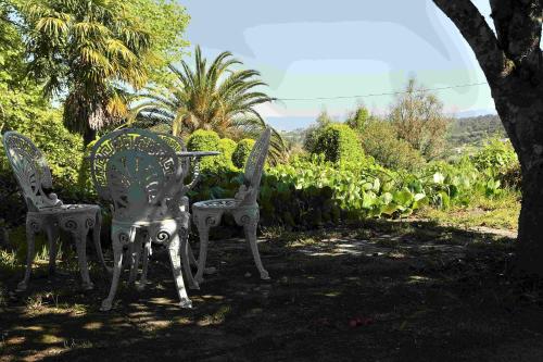 Κήπος έξω από το Quinta da Fata