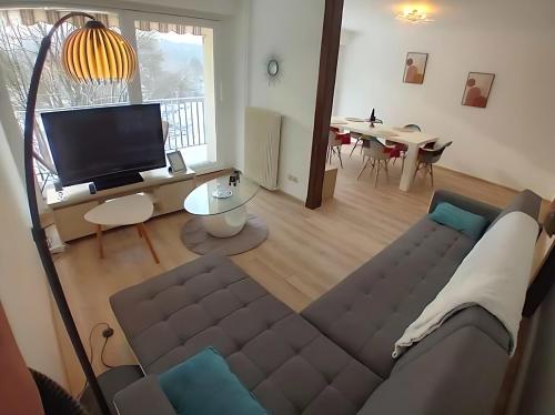 Vue du Doubs T4 cosy très bien situéにあるテレビまたはエンターテインメントセンター