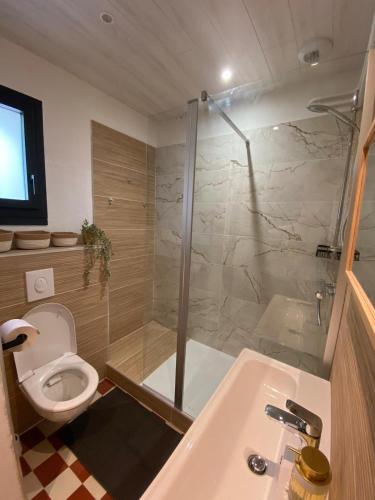 une salle de bain avec une douche, des toilettes et un lavabo dans l'établissement La maison des sables, à La Paute