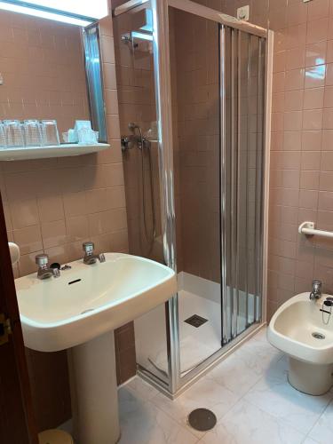 ブラガンサにあるSão Roque Hotel & Suitesのバスルーム(シンク、シャワー、トイレ付)