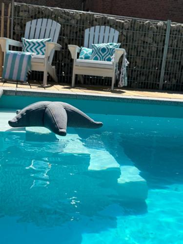 a dolphin in the water next to two chairs at Sievershof Sieversloft in Wietzendorf
