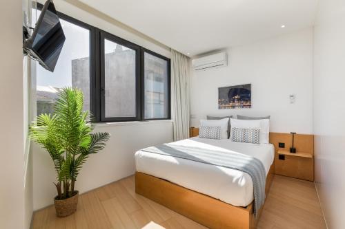 Alvaro´s Loft Downtown