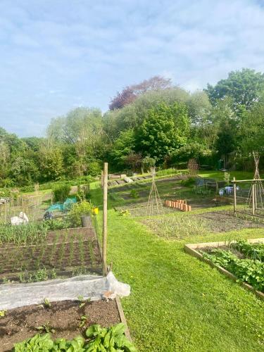 a garden with a field of grass and trees at The White Hart Apartment Valley View in Alton