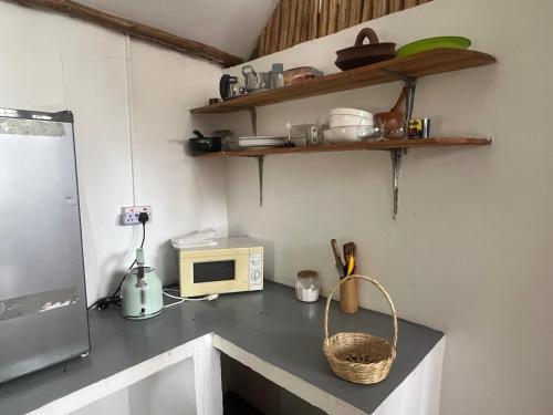 - une cuisine avec un comptoir et un four micro-ondes dans l'établissement Cottage in Arusha-Wanderful Escape, à Arusha