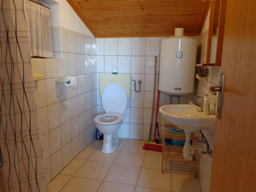 a bathroom with a toilet and a sink at Apartmani Marina in Labin