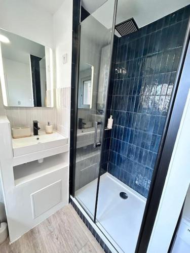 une salle de bain avec une douche en verre et un lavabo dans l'établissement Terre d'occitan-Metro-Parking-Balcon, à Ramonville-Saint-Agne