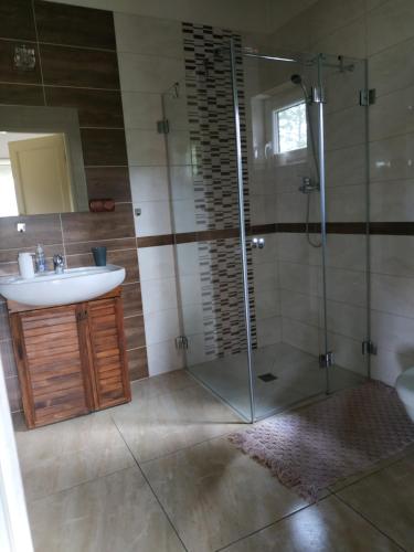 ein Badezimmer mit Dusche und Waschbecken und Dusche in der Unterkunft Domek nad Czarną Hańczą - Przystań Kajakowa Zakole in Krasnopol