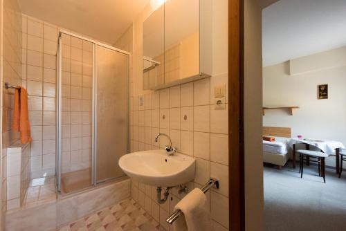 y baño con lavabo y ducha. en Gasthaus Stollmühle, en Stützengrün