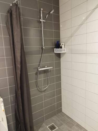 a shower with a shower curtain in a bathroom at Penthouse in hartje Enschede in Enschede