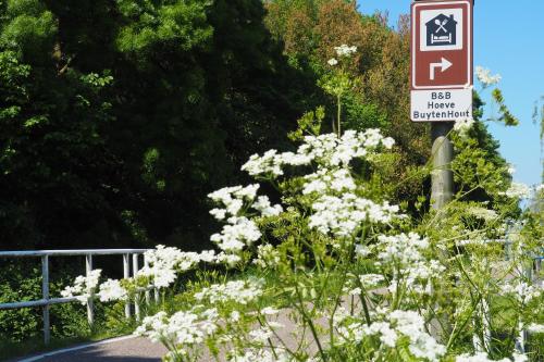 um sinal no lado de uma estrada com flores brancas em Hoeve BuytenHout em Delft