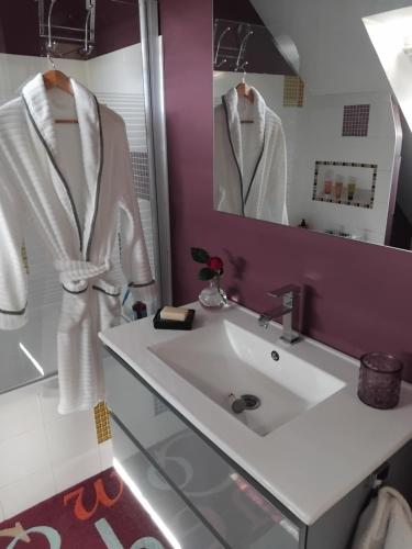 a bathroom with a white sink and a mirror at CHAMBRE DANS UN ECRIN DE VERDURE in Angrie