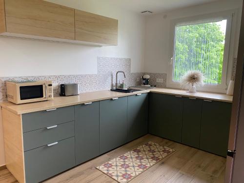 La cuisine est équipée de placards verts et d'un four micro-ondes. dans l'établissement La Jonquille, à Baroville