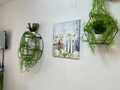 drie foto's van bloemen op een muur met planten bij The mistral in Scilla