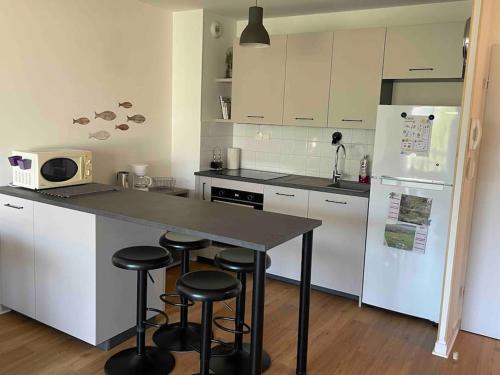 Køkken eller tekøkken på Entre lac et montagnes 47m²