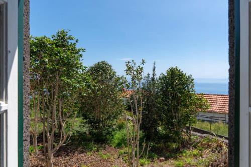 a view from a window of a garden with trees at Quinta da Fonte by An Island Apart in Calheta