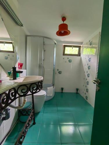 a bathroom with a toilet and a sink at Casuta Din Padure Malaia in Malaia