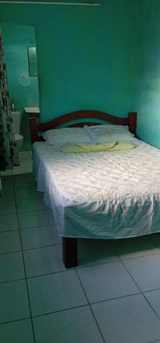 a bed in a bedroom with a green wall at Casa mobilhada para alugar durante o FIG 2024 in Garanhuns