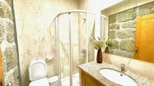 a bathroom with a shower and a sink and a toilet at Villa Amarela in Penafiel